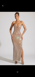 Embellished plunge gown in nude