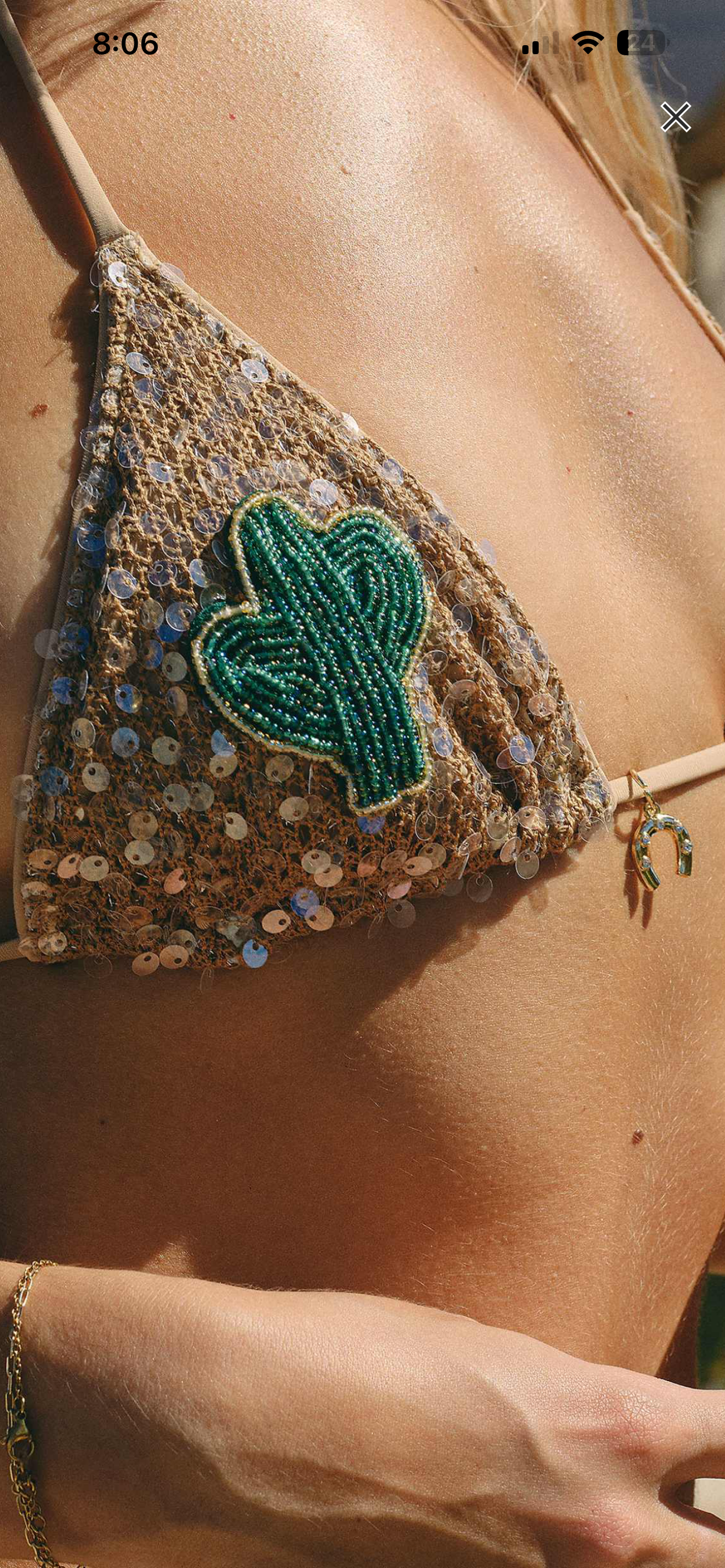 Sequin silver bikini with cactus