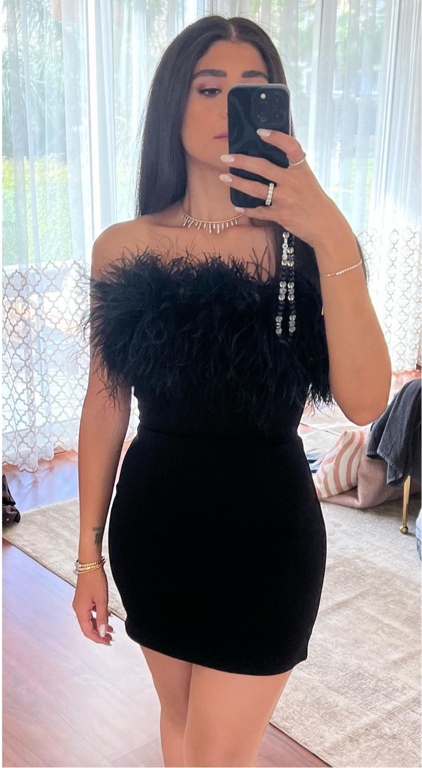 DD`S DESIGN CORSET FEATHER MINI DRESS